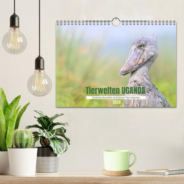 Produktbild: Tierwelten UGANDA (Wandkalender 2026 DIN A4 quer), CALVENDO Monatskalender