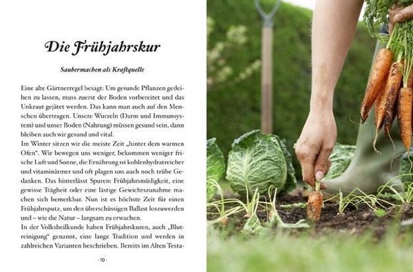 Produktbild: Das kleine Buch: Hausmittel zur inneren Reinigung
