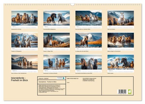 Produktbild: Islandpferde - Freiheit im Blick (Wandkalender 2026 DIN A2 quer), CALVENDO Monatskalender