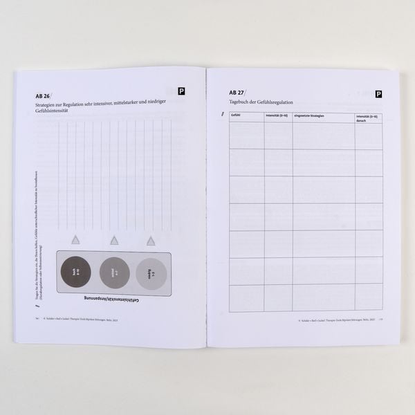 Produktbild: Therapie-Tools Bipolare St&ouml;rungen