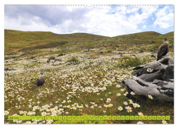 Produktbild: M&auml;rchenwelt Patagonien (hochwertiger Premium Wandkalender 2026 DIN A2 quer), Kunstdruck in Hochglanz