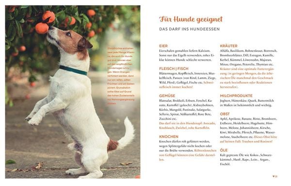 Produktbild: Gesund & lecker: Kochen f&uuml;r den Hund