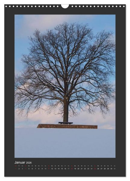 Produktbild: Odenwald - Impressionen einer Landschaft (Wandkalender 2026 DIN A3 hoch), CALVENDO Monatskalender