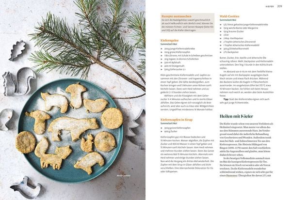 Produktbild: Essbare B&auml;ume und Str&auml;ucher
