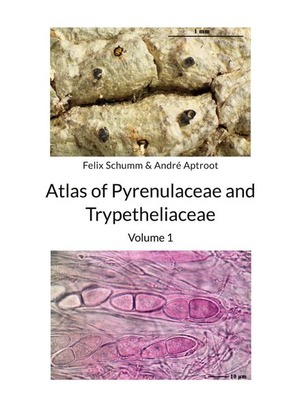 Produktbild: Atlas of Pyrenulaceae and Trypetheliaceae - Volume 1