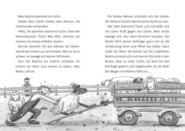 Produktbild: M&auml;c Mief und die r&auml;tselhafte Schafentf&uuml;hrung
