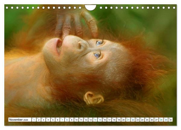 Produktbild: Farbenfestival der Tiere - Artwork (Wandkalender 2026 DIN A4 quer), CALVENDO Monatskalender