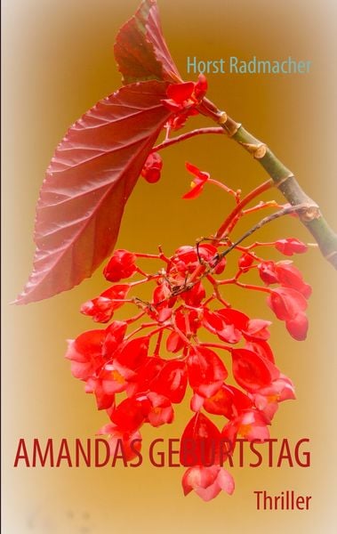 Amandas Geburtstag, Taschenbuch von Horst Radmacher, BoD – Books on Demand, 9783848202423