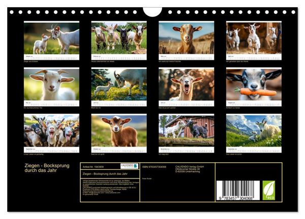 Produktbild: Ziegen - Bocksprung durch das Jahr (Wandkalender 2026 DIN A4 quer), CALVENDO Monatskalender