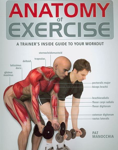 Produktbild: Anatomy of Exercise