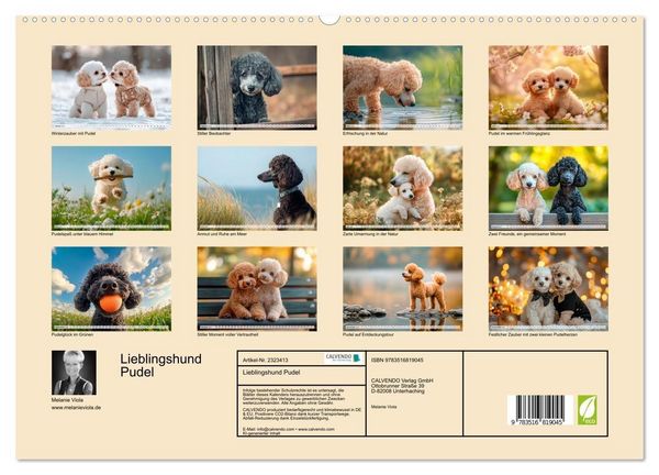 Produktbild: Lieblingshund Pudel (hochwertiger Premium Wandkalender 2027 DIN A2 quer), Kunstdruck in Hochglanz