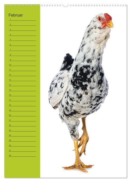 Produktbild: Kunterbunte H&uuml;hner Truppe (hochwertiger Premium Wandkalender 2026 DIN A2 hoch), Kunstdruck in Hochglanz