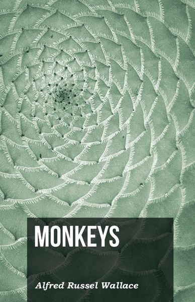 Produktbild: Monkeys