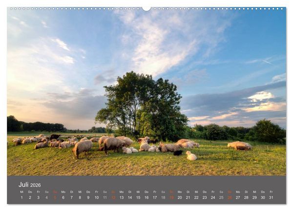 Produktbild: Leipzig - Parks und Landschaften (hochwertiger Premium Wandkalender 2026 DIN A2 quer), Kunstdruck in Hochglanz