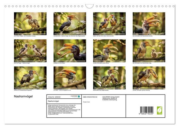 Produktbild: Nashornv&ouml;gel (Wandkalender 2027 DIN A3 quer), CALVENDO Monatskalender