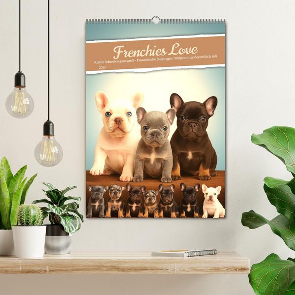 Produktbild: Frenchies Love &ndash; Kleine Schnuten ganz gro&szlig; - Franz&ouml;sische Bulldoggen Welpen unwiderstehlich s&uuml;&szlig; (Wandkalender 2026 DIN A2 hoch), CALVENDO Monatskalender
