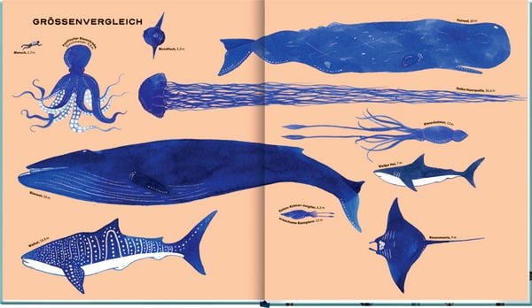 Produktbild: Die geheime Welt der Wale