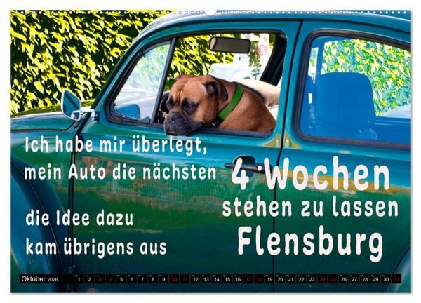 Produktbild: Spruchreif - Gute-Laune-Kalender (hochwertiger Premium Wandkalender 2026 DIN A2 quer), Kunstdruck in Hochglanz