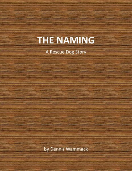 Produktbild: The Naming (Rescue Dog Short Stories, #1)