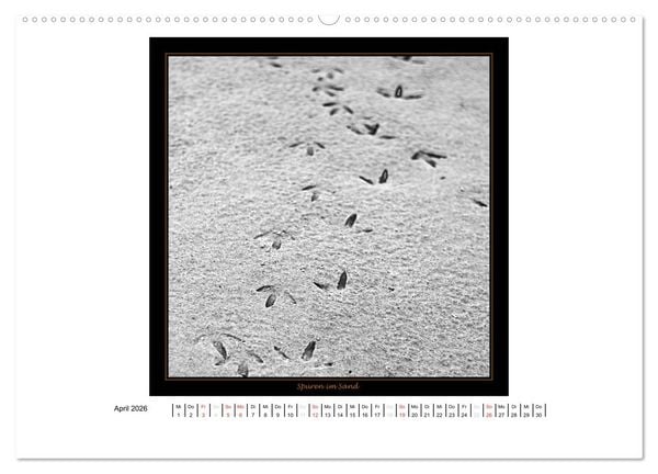 Produktbild: Wangerooge in Fine Art (Wandkalender 2026 DIN A2 quer), CALVENDO Monatskalender