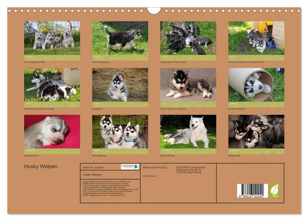 Produktbild: Husky Welpen (Wandkalender 2026 DIN A3 quer), CALVENDO Monatskalender