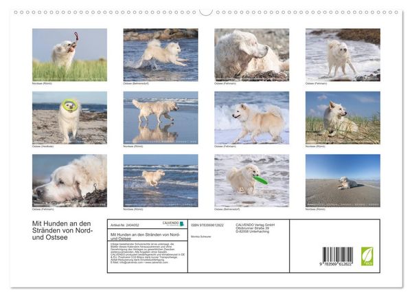 Produktbild: Mit Hunden an den Str&auml;nden von Nord- und Ostsee (hochwertiger Premium Wandkalender 2027 DIN A2 quer), Kunstdruck in Hochglanz