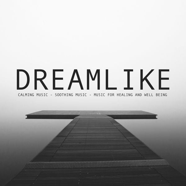 Calming Music | Soothing Music | Music For Healing And Well Being - Ronald Blanchett, Audio, 4064066667382