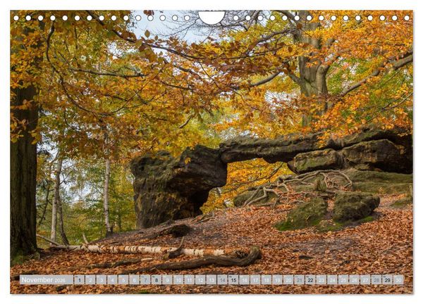 Produktbild: S&Auml;CHSISCHE SCHWEIZ - M&auml;rchenland an der Elbe (Wandkalender 2026 DIN A4 quer), CALVENDO Monatskalender