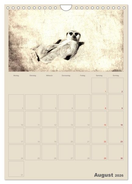 Produktbild: Lustige Erdm&auml;nnchen (Wandkalender 2026 DIN A4 hoch), CALVENDO Monatskalender