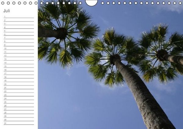 Produktbild: Impressionen des S&uuml;dens (Wandkalender immerw&auml;hrend DIN A4 quer)
