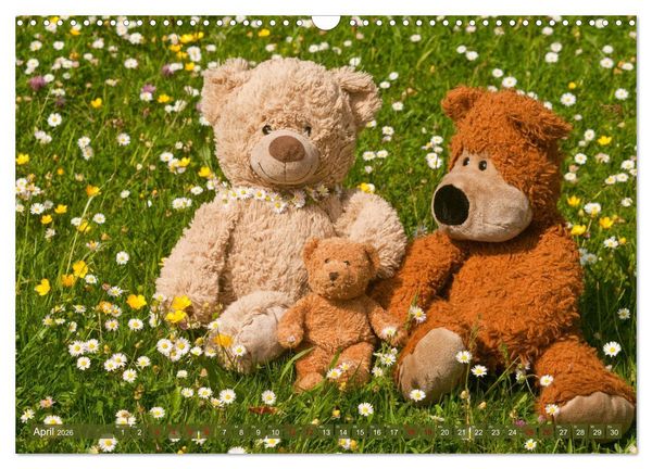 Produktbild: Kunterbunte B&auml;renwelt - Teddys (Wandkalender 2026 DIN A3 quer), CALVENDO Monatskalender