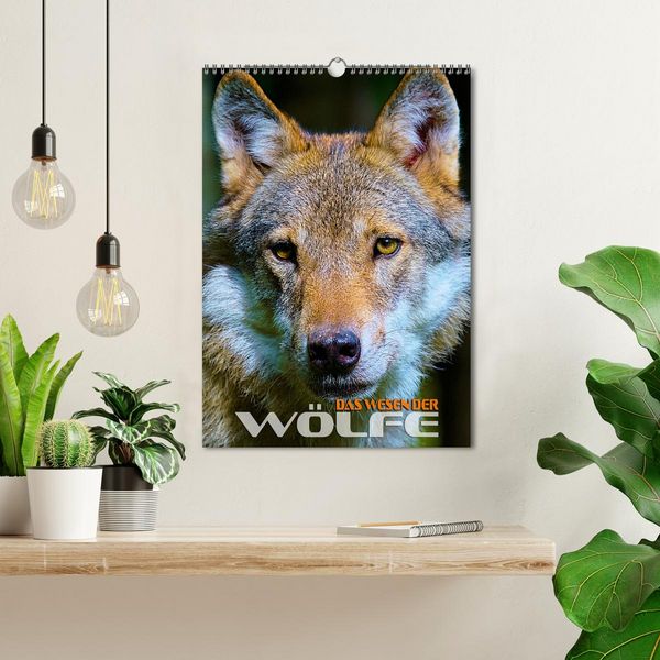 Produktbild: Das Wesen der W&ouml;lfe (Wandkalender 2026 DIN A3 hoch), CALVENDO Monatskalender