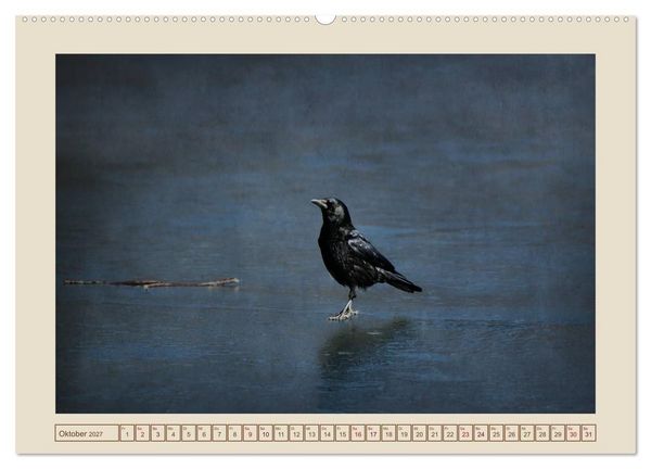 Produktbild: V&ouml;gel am Chemnitzer Schlossteich (hochwertiger Premium Wandkalender 2027 DIN A2 quer), Kunstdruck in Hochglanz