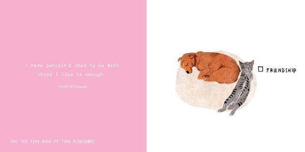 Produktbild: The Tiny Book of Tiny Pleasures
