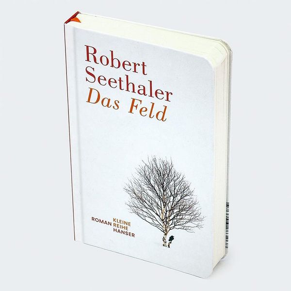 Produktbild: Das Feld