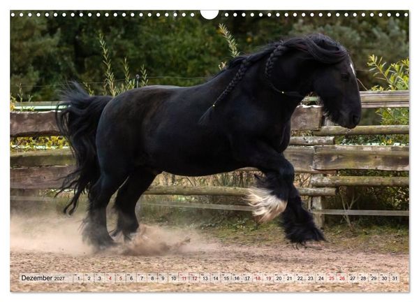Produktbild: Colorful Horse Ranch &ndash; Wo Tinker posen und Ponys l&auml;cheln (Wandkalender 2027 DIN A3 quer), CALVENDO Monatskalender