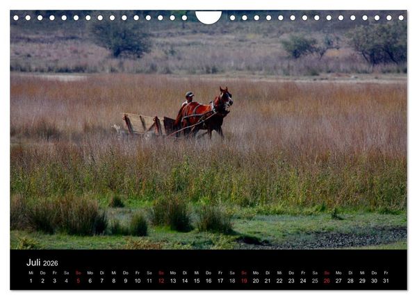 Produktbild: Donaudelta (Wandkalender 2026 DIN A4 quer), CALVENDO Monatskalender