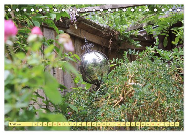 Produktbild: Gartentr&auml;umerei (Tischkalender 2026 DIN A5 quer), CALVENDO Monatskalender