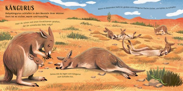 Produktbild: Zeit zu schlafen, liebe Tiere
