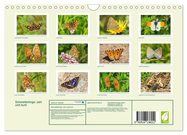Produktbild: Schmetterlinge: zart und bunt (Wandkalender 2026 DIN A4 quer), CALVENDO Monatskalender