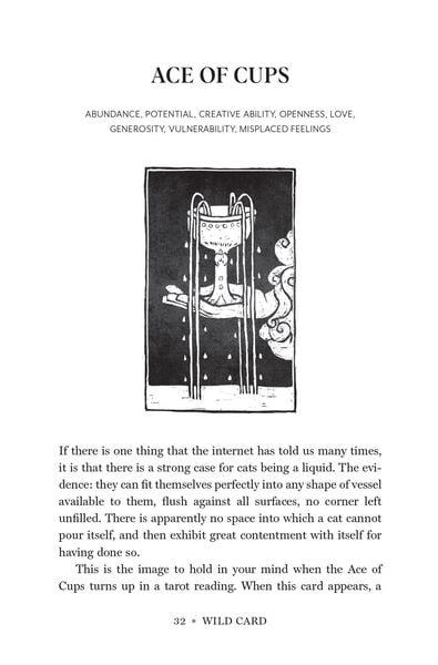Produktbild: Wild Card