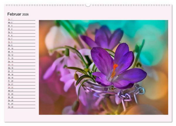 Produktbild: Lila - die mystische Farbe (hochwertiger Premium Wandkalender 2026 DIN A2 quer), Kunstdruck in Hochglanz