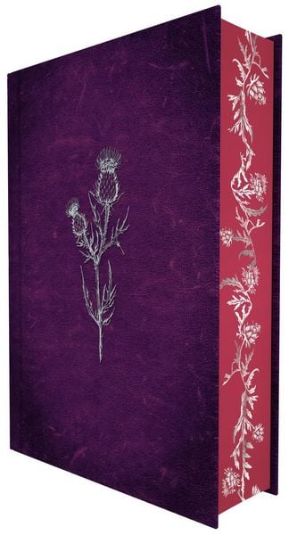 Produktbild: Crimson Throne (Spy and Guardian 1)