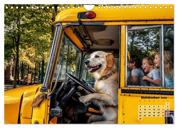 Produktbild: S&uuml;&szlig;e Hunde cruisen - durch das Jahr mit dem Hundekalender (Wandkalender 2026 DIN A4 quer), CALVENDO Monatskalender