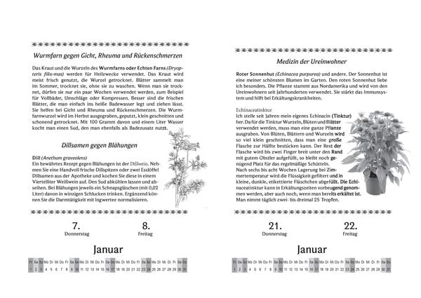 Produktbild: Liesel Malms Kr&auml;uterkalender 2027. Mit der Heilkraft der Natur durchs Jahr