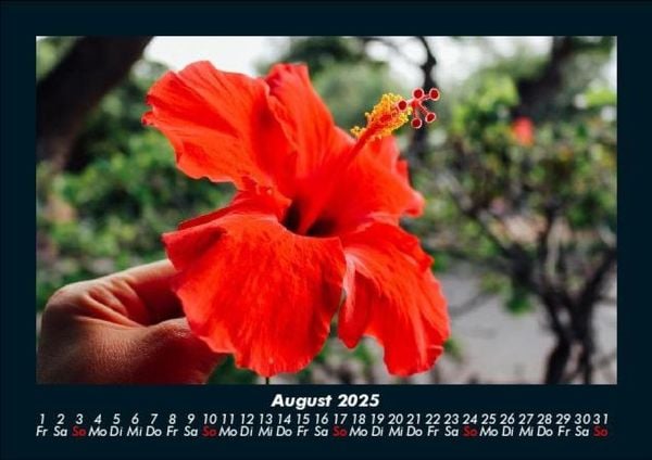 Produktbild: Blumenzauber 2025 Fotokalender DIN A5