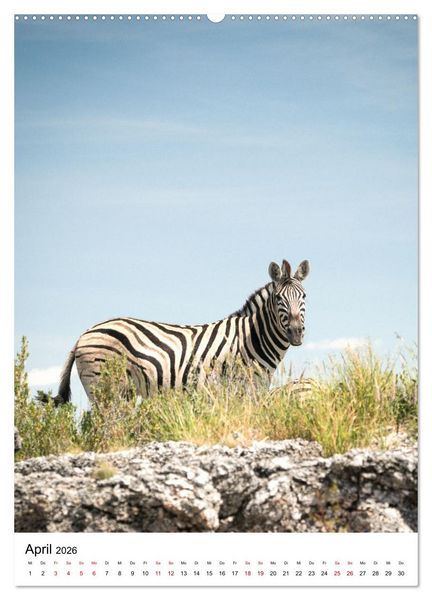 Produktbild: Naturparadies Namibia (hochwertiger Premium Wandkalender 2026 DIN A2 hoch), Kunstdruck in Hochglanz