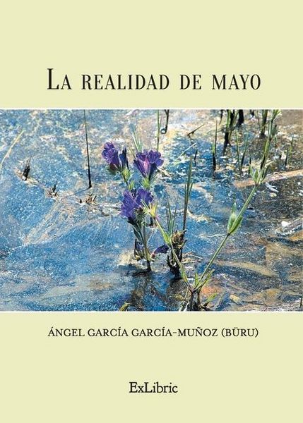 Produktbild: La realidad de mayo