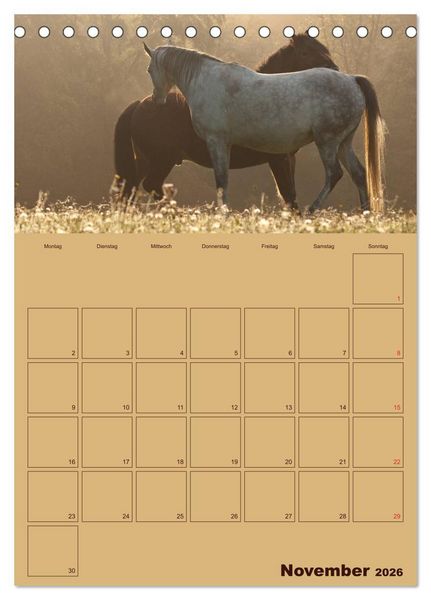 Produktbild: Pferde Gute Freunde (Tischkalender 2026 DIN A5 hoch), CALVENDO Monatskalender