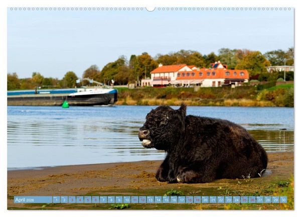 Produktbild: LOVELY VENLO (High Quality Premium Wall Calendar 2026 DIN A2 landscape),CALVENDO 12 Month Wall Calendar